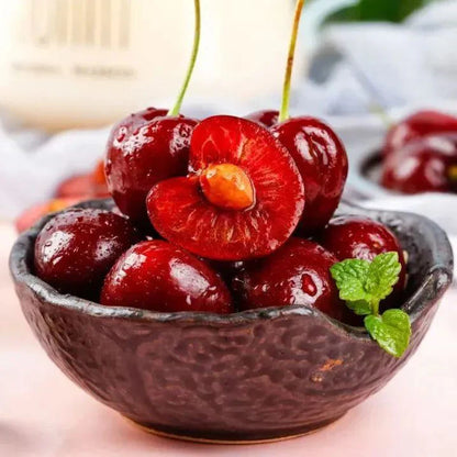 Hybrid Cherry Fruit Seeds 🛍️49% OFF SALE💫